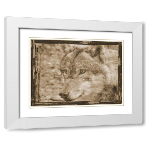 Wild Heart 2 White Modern Wood Framed Art Print with Double Matting by Lewis, Sheldon