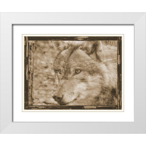 Wild Heart 2 White Modern Wood Framed Art Print with Double Matting by Lewis, Sheldon