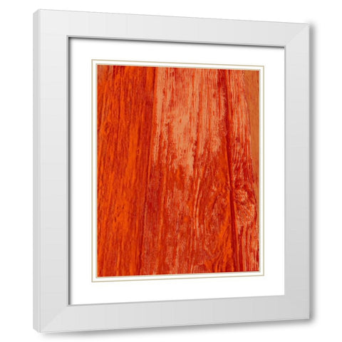 New Age Look White Modern Wood Framed Art Print with Double Matting by Lewis, Sheldon