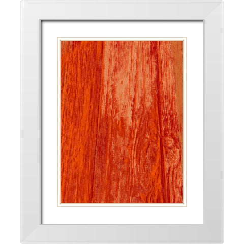 New Age Look White Modern Wood Framed Art Print with Double Matting by Lewis, Sheldon