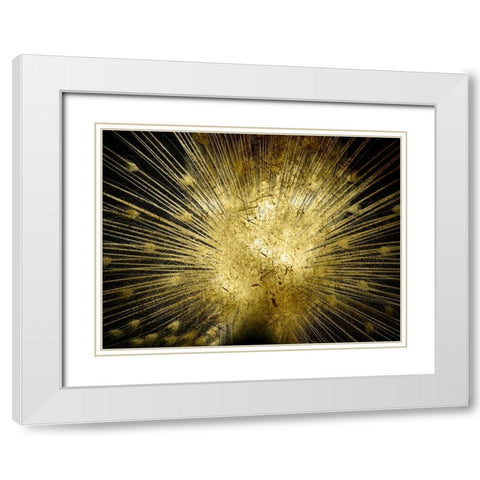 Golden Peacock White Modern Wood Framed Art Print with Double Matting by Lewis, Sheldon