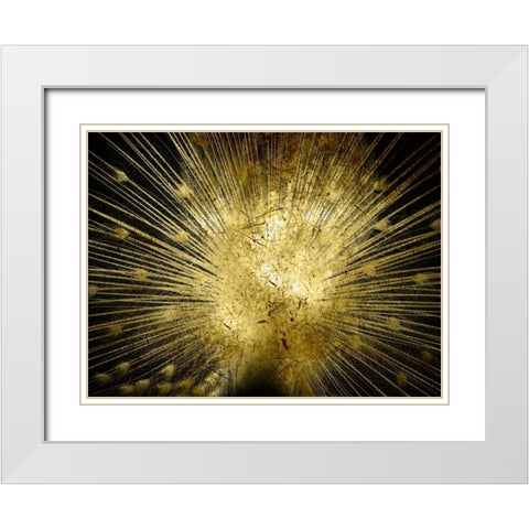Golden Peacock White Modern Wood Framed Art Print with Double Matting by Lewis, Sheldon