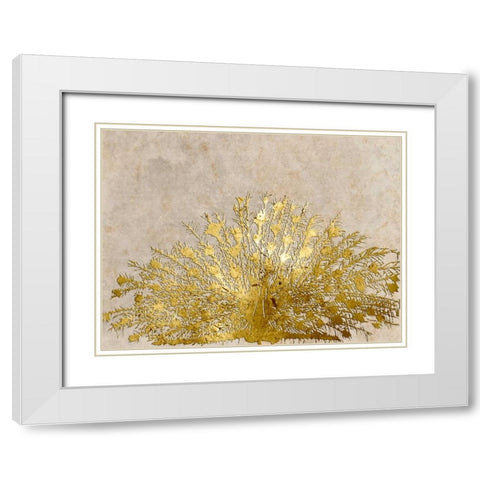 Ivory Coast Peacock White Modern Wood Framed Art Print with Double Matting by Lewis, Sheldon