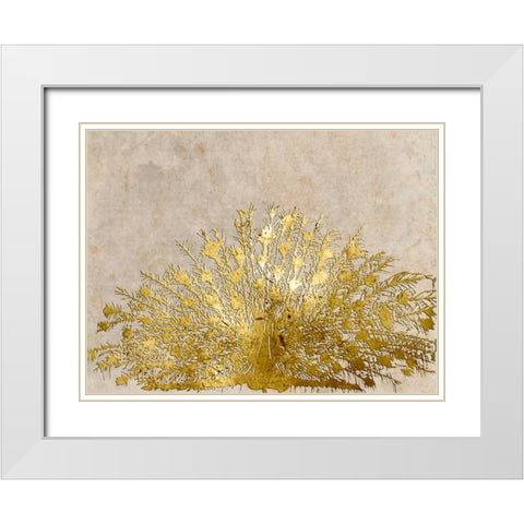 Ivory Coast Peacock White Modern Wood Framed Art Print with Double Matting by Lewis, Sheldon