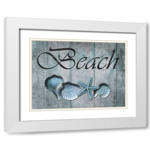 Beach Shells White Modern Wood Framed Art Print with Double Matting by Lewis, Sheldon