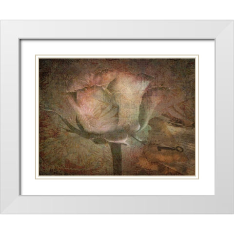 Rose Faith White Modern Wood Framed Art Print with Double Matting by Lewis, Sheldon