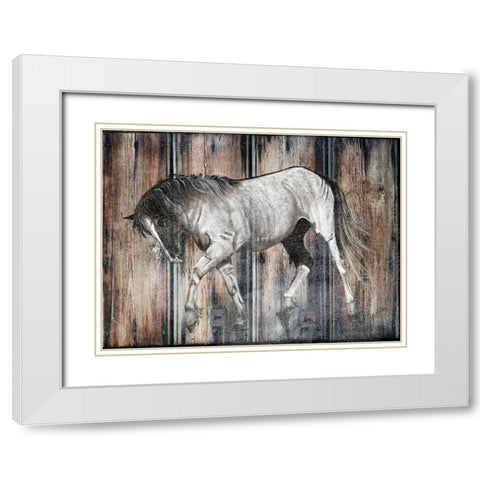 Farm Horse White Modern Wood Framed Art Print with Double Matting by Lewis, Sheldon