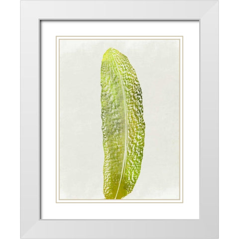 Single Bird White Modern Wood Framed Art Print with Double Matting by Lewis, Sheldon