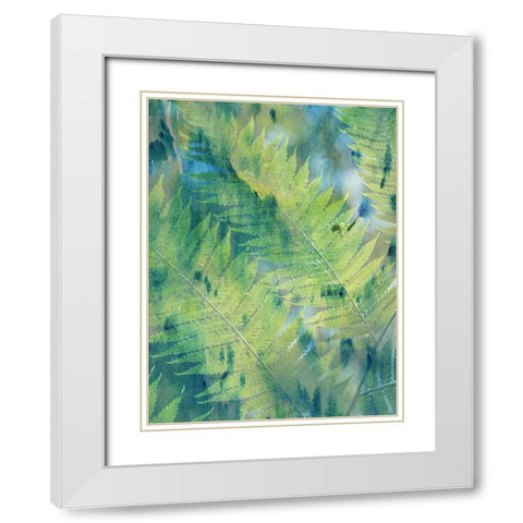 Deep In TheTropic White Modern Wood Framed Art Print with Double Matting by Lewis, Sheldon