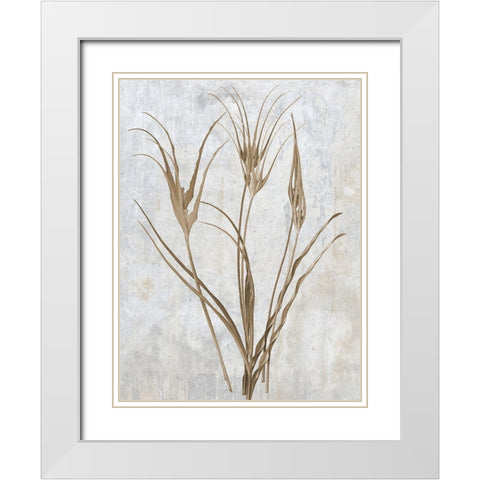 Earth Balance 1 White Modern Wood Framed Art Print with Double Matting by Lewis, Sheldon