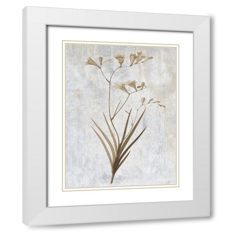 Earth Balance 4 White Modern Wood Framed Art Print with Double Matting by Lewis, Sheldon