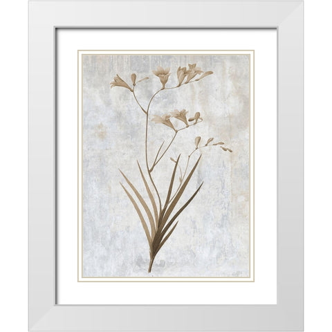 Earth Balance 4 White Modern Wood Framed Art Print with Double Matting by Lewis, Sheldon