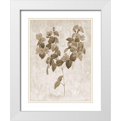 Earth Balance 6 White Modern Wood Framed Art Print with Double Matting by Lewis, Sheldon