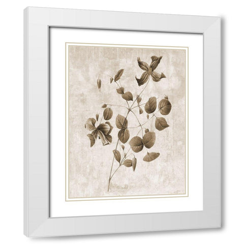 Earth Balance 8 White Modern Wood Framed Art Print with Double Matting by Lewis, Sheldon