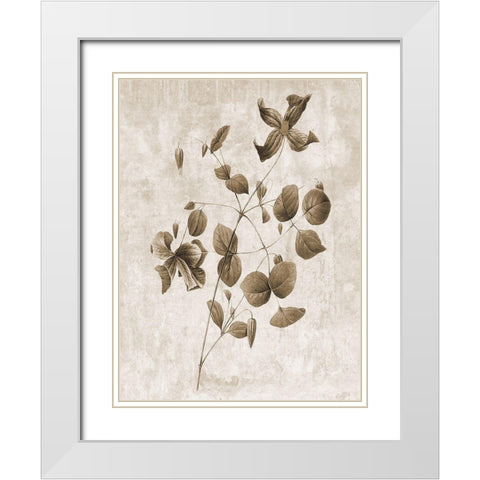 Earth Balance 8 White Modern Wood Framed Art Print with Double Matting by Lewis, Sheldon