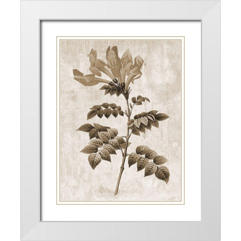 Earth Balance 9 White Modern Wood Framed Art Print with Double Matting by Lewis, Sheldon