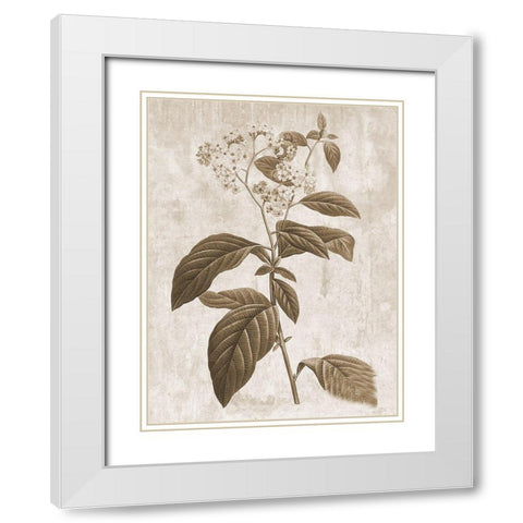 Earth Balance 10 White Modern Wood Framed Art Print with Double Matting by Lewis, Sheldon