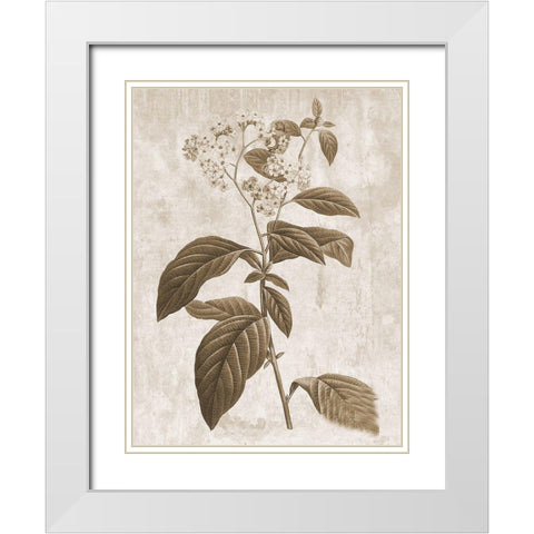 Earth Balance 10 White Modern Wood Framed Art Print with Double Matting by Lewis, Sheldon