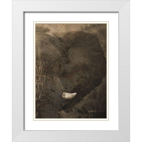 Heard The Heard 2 White Modern Wood Framed Art Print with Double Matting by Lewis, Sheldon