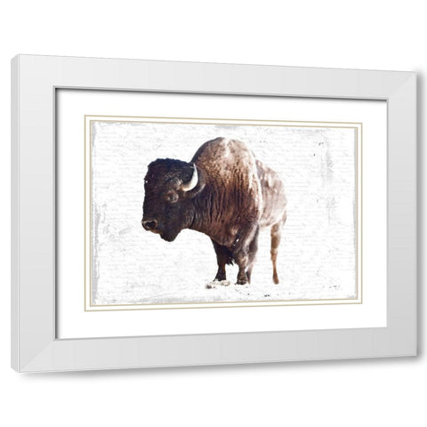 Stome Head White Modern Wood Framed Art Print with Double Matting by Lewis, Sheldon