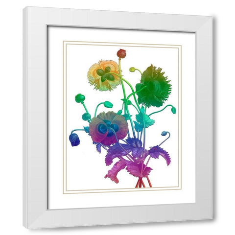 Color Bloom White Modern Wood Framed Art Print with Double Matting by Lewis, Sheldon