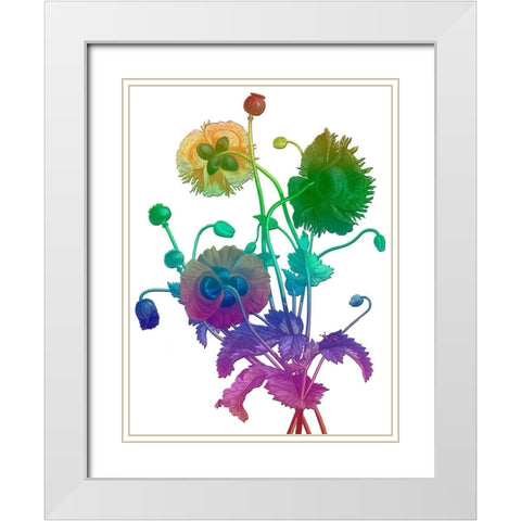 Color Bloom White Modern Wood Framed Art Print with Double Matting by Lewis, Sheldon