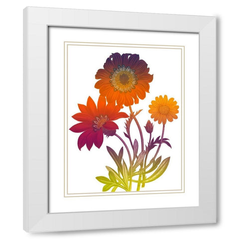 Color Bloom 2 White Modern Wood Framed Art Print with Double Matting by Lewis, Sheldon