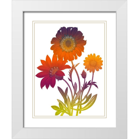 Color Bloom 2 White Modern Wood Framed Art Print with Double Matting by Lewis, Sheldon