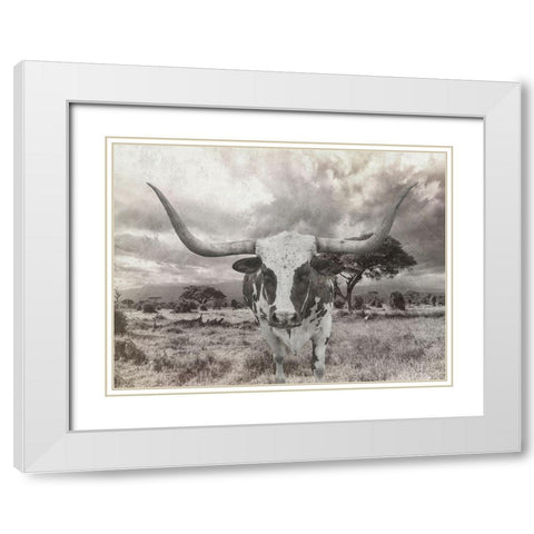 Steer White Modern Wood Framed Art Print with Double Matting by Lewis, Sheldon