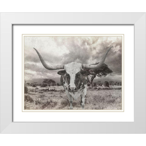 Steer White Modern Wood Framed Art Print with Double Matting by Lewis, Sheldon