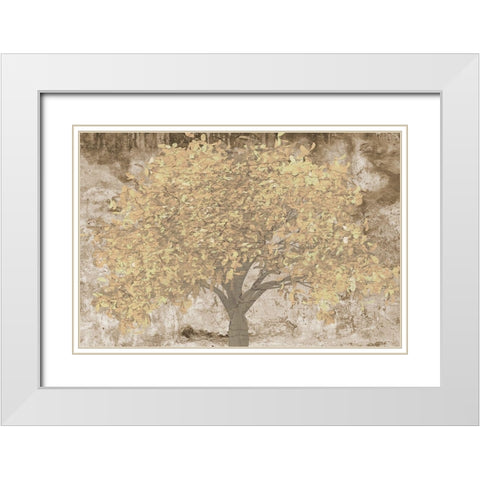 Natures Cluster White Modern Wood Framed Art Print with Double Matting by Lewis, Sheldon