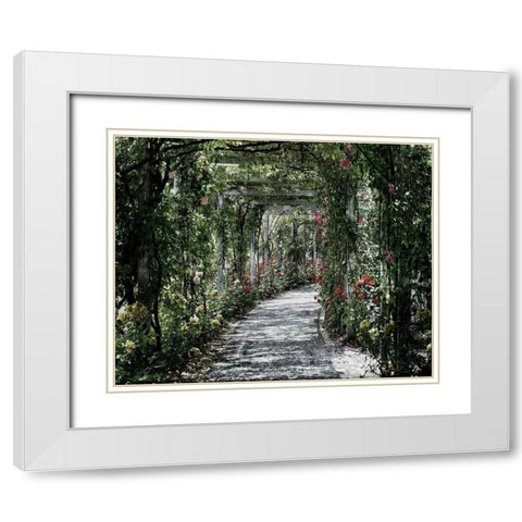 Vintage Garden White Modern Wood Framed Art Print with Double Matting by Lewis, Sheldon