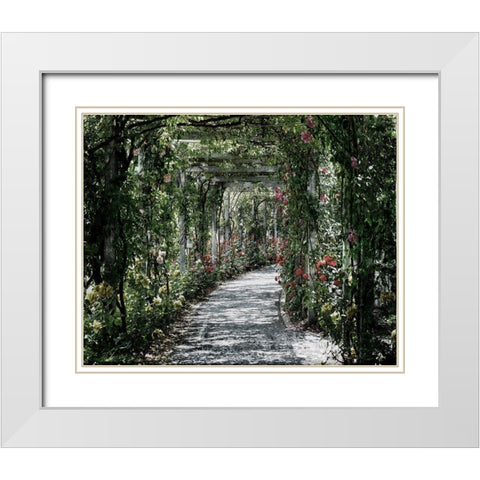 Vintage Garden White Modern Wood Framed Art Print with Double Matting by Lewis, Sheldon