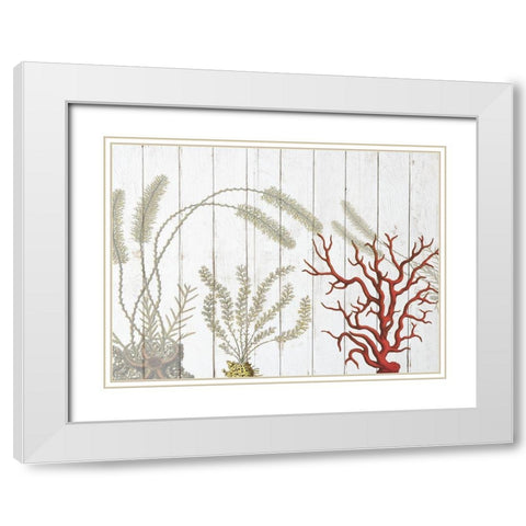 Cosatl Down Under White Modern Wood Framed Art Print with Double Matting by Lewis, Sheldon