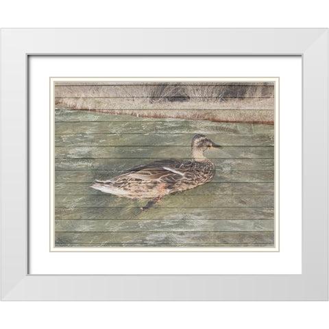 Water Duck White Modern Wood Framed Art Print with Double Matting by Lewis, Sheldon