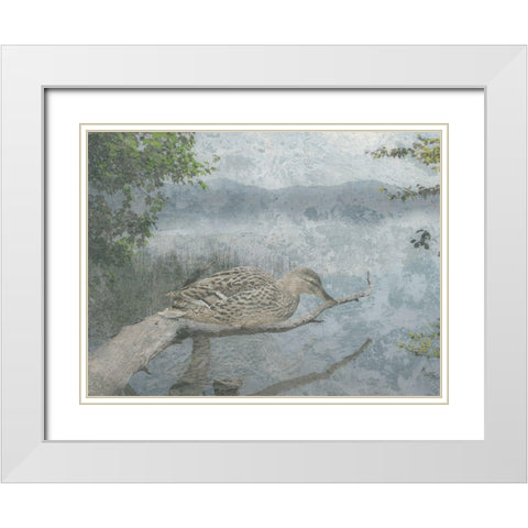 Sitting Duck White Modern Wood Framed Art Print with Double Matting by Lewis, Sheldon