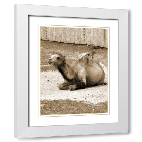 Desert Runner 1 White Modern Wood Framed Art Print with Double Matting by Lewis, Sheldon