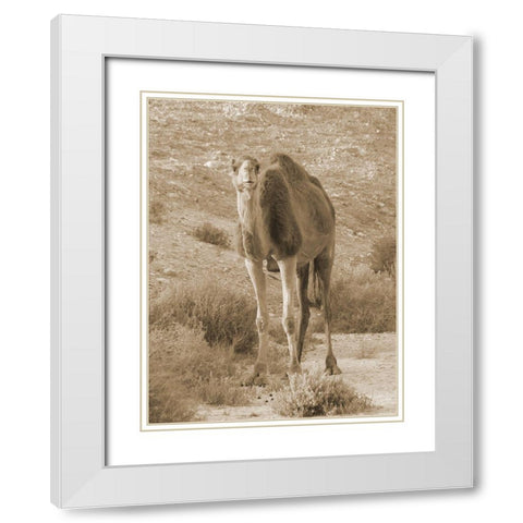 Desert Runner 2 White Modern Wood Framed Art Print with Double Matting by Lewis, Sheldon