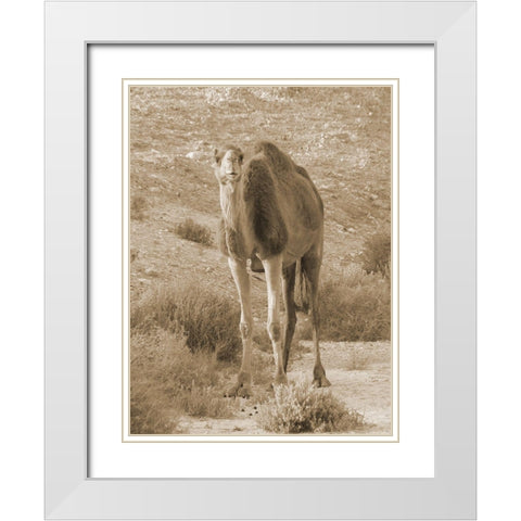 Desert Runner 2 White Modern Wood Framed Art Print with Double Matting by Lewis, Sheldon