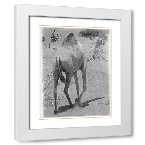 On My Way 1 White Modern Wood Framed Art Print with Double Matting by Lewis, Sheldon