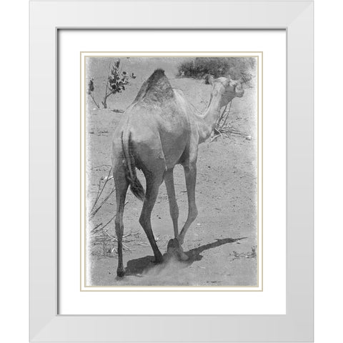 On My Way 1 White Modern Wood Framed Art Print with Double Matting by Lewis, Sheldon