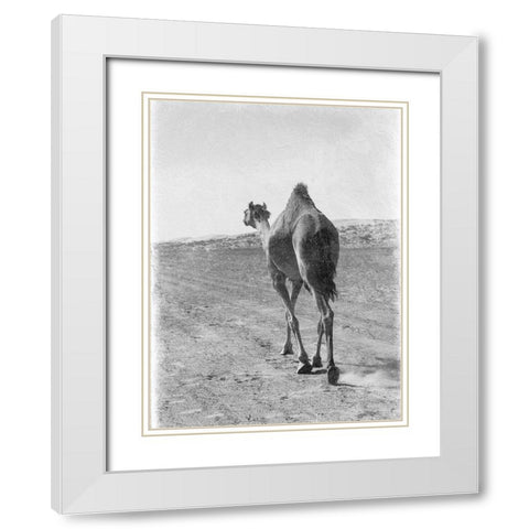 On My Way 2 White Modern Wood Framed Art Print with Double Matting by Lewis, Sheldon