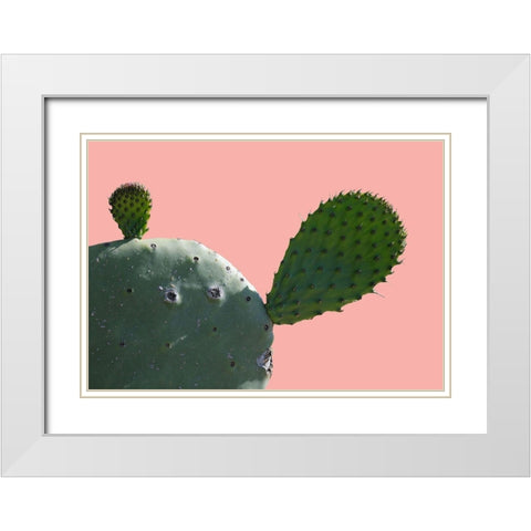 Cactus Slice 1 White Modern Wood Framed Art Print with Double Matting by Lewis, Sheldon