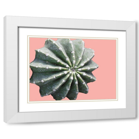 Cactus Bulb White Modern Wood Framed Art Print with Double Matting by Lewis, Sheldon