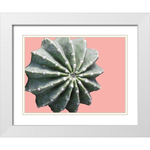 Cactus Bulb White Modern Wood Framed Art Print with Double Matting by Lewis, Sheldon