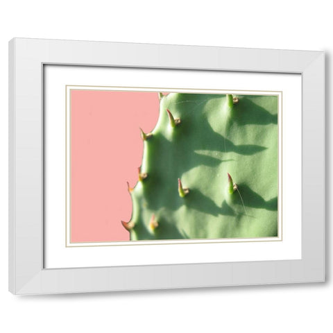 Cactus Flat White Modern Wood Framed Art Print with Double Matting by Lewis, Sheldon