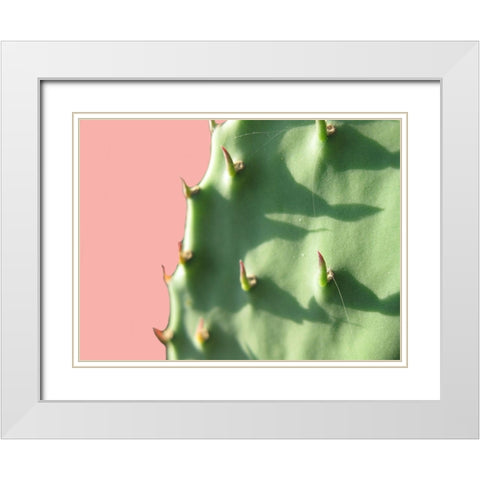 Cactus Flat White Modern Wood Framed Art Print with Double Matting by Lewis, Sheldon