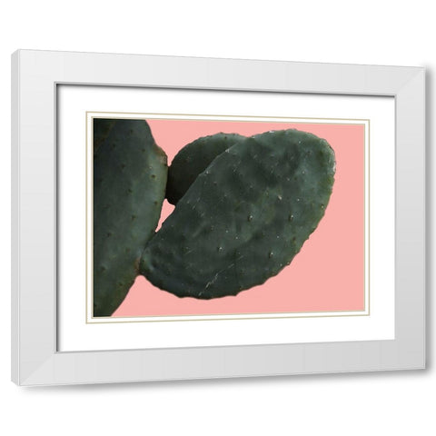 Cactus Wall White Modern Wood Framed Art Print with Double Matting by Lewis, Sheldon