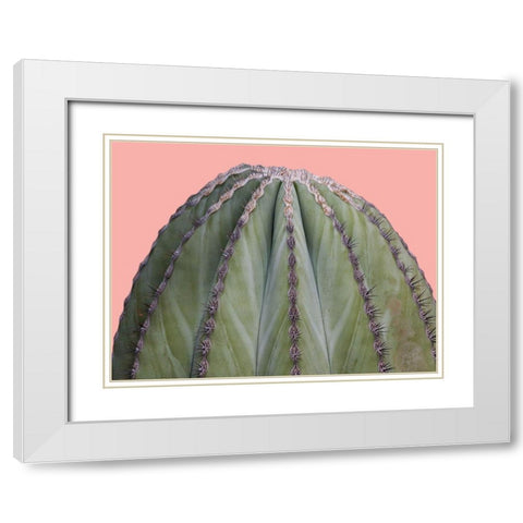 Cactus Ball White Modern Wood Framed Art Print with Double Matting by Lewis, Sheldon