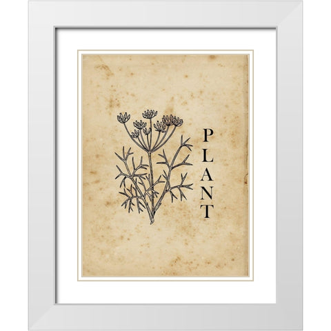 Plant White Modern Wood Framed Art Print with Double Matting by Lewis, Sheldon